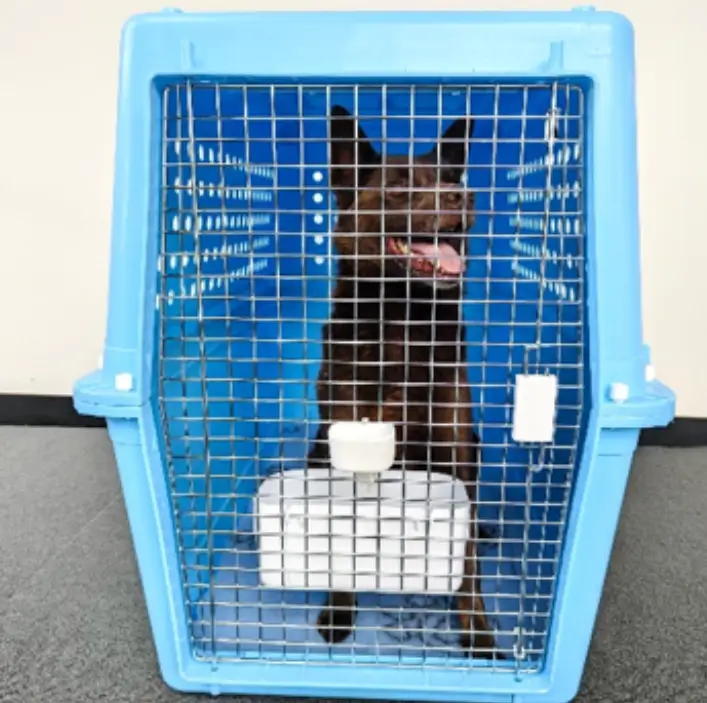 Photo 3 Your pet inside the crate with the door closed
